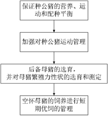 Feeding technology for improving reproductive capacity of boars