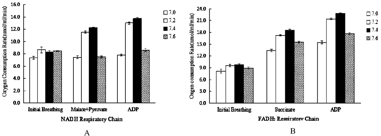 Italian penicillium mitochondria extraction method