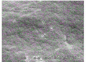 Compound additive for electrolytic copper foil