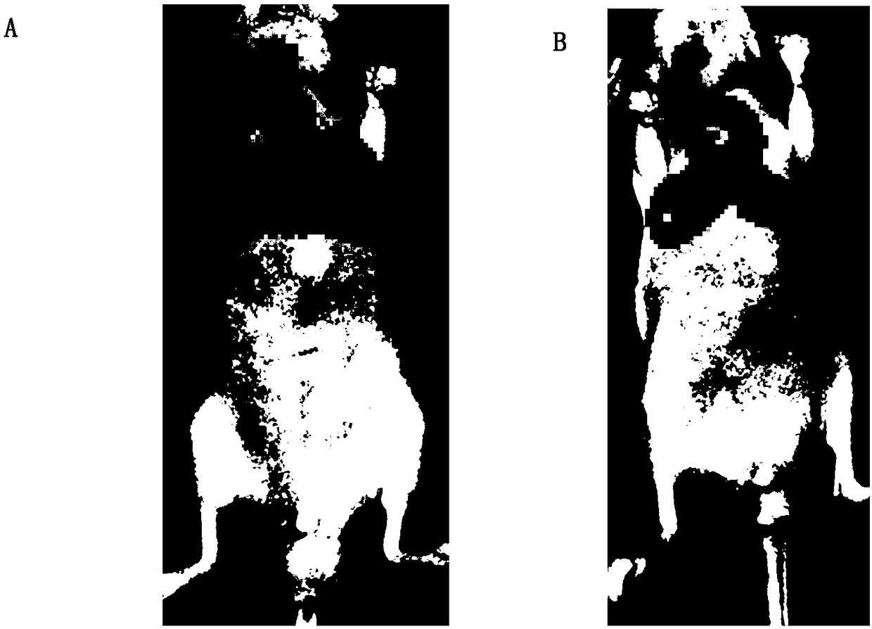 Novel lung specificity transfer liver cancer cell and preparation thereof