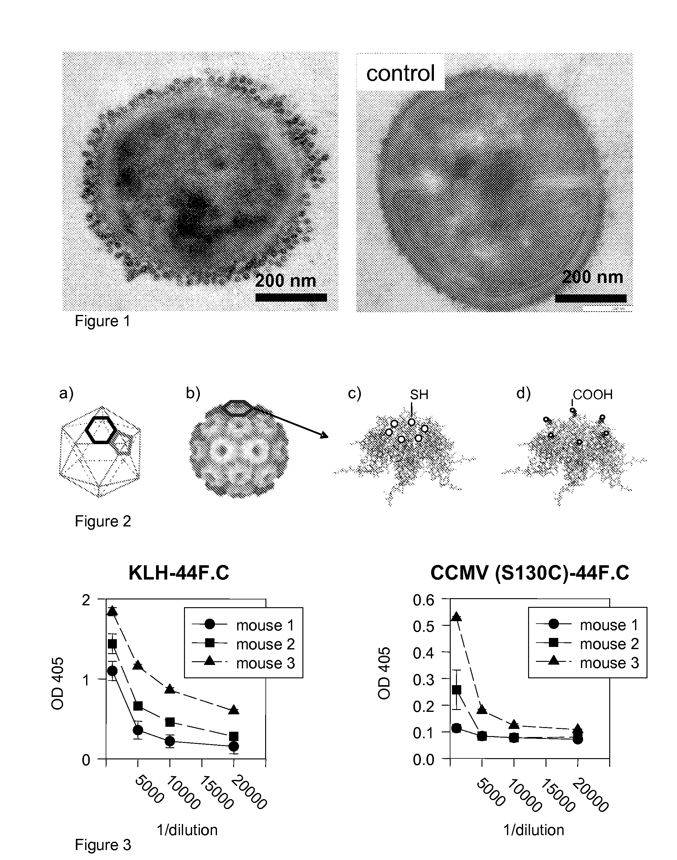 Novel nanoparticles for biofilm targeting