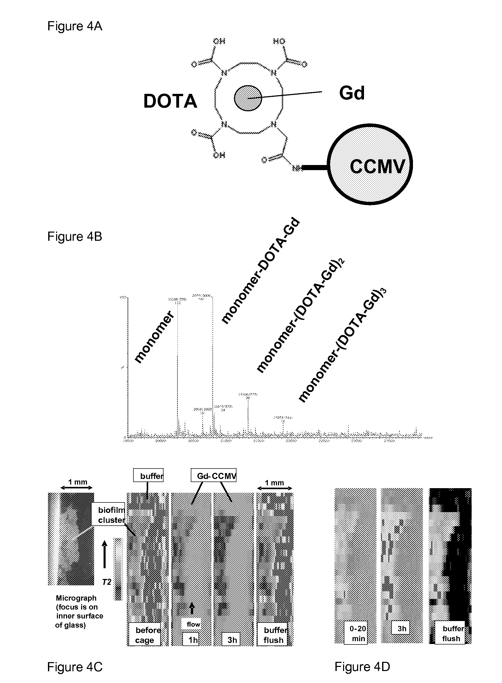 Novel nanoparticles for biofilm targeting