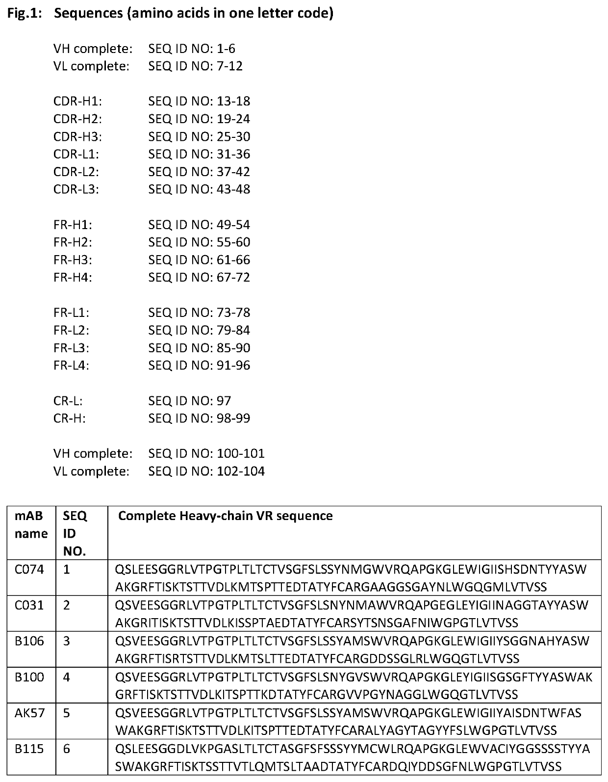 HER-2 binding antibodies