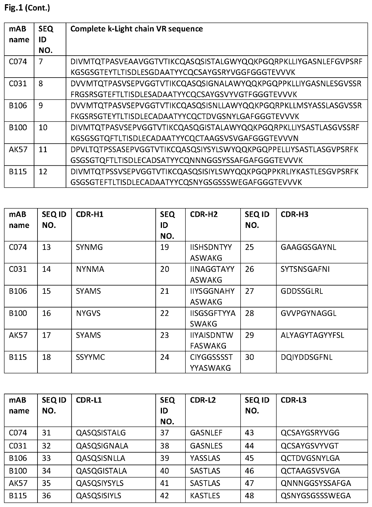 HER-2 binding antibodies