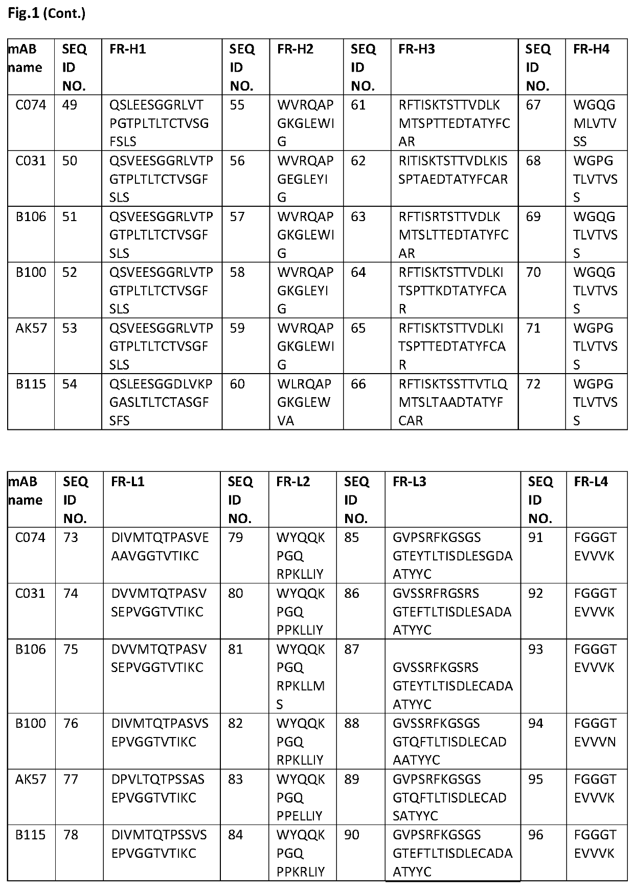 HER-2 binding antibodies