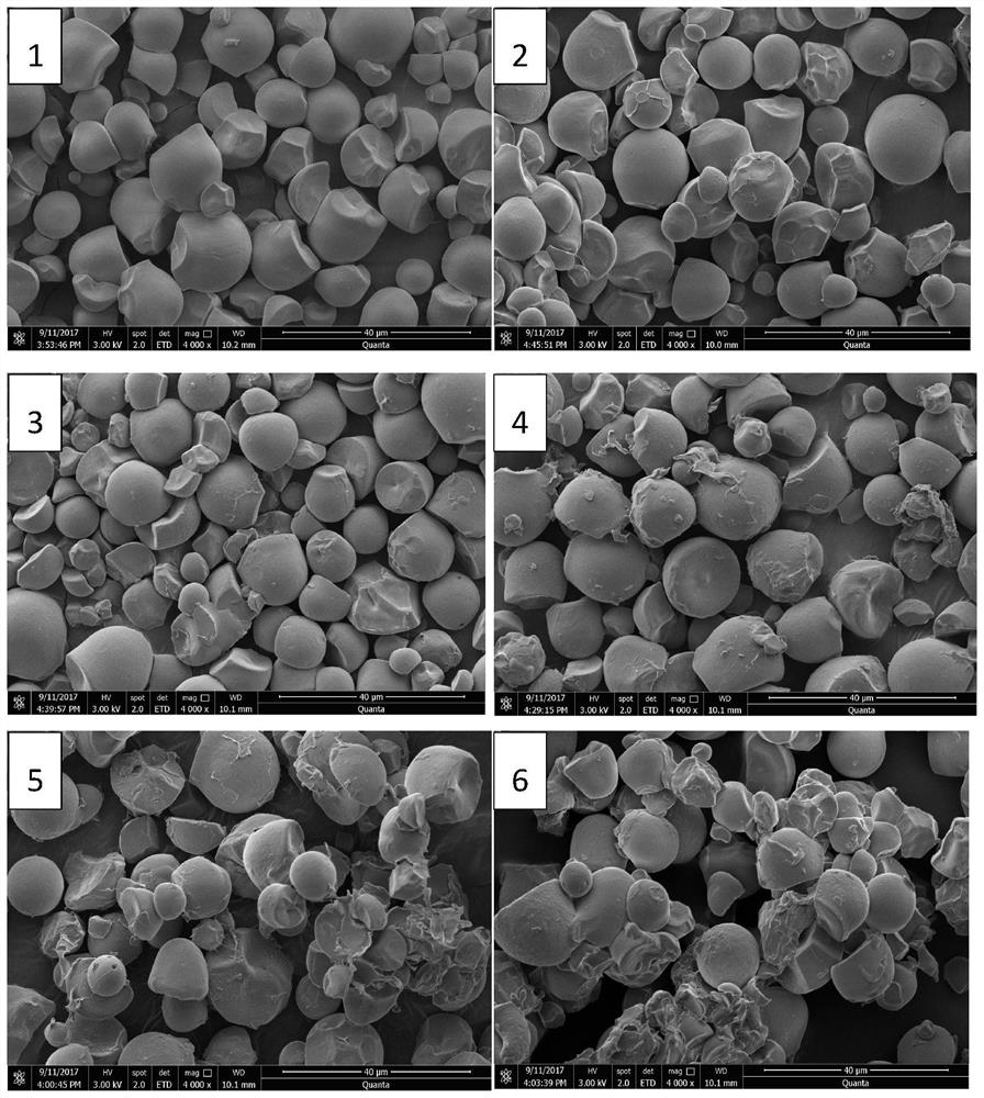 Starch octenyl succinate-zein complex and preparation method thereof