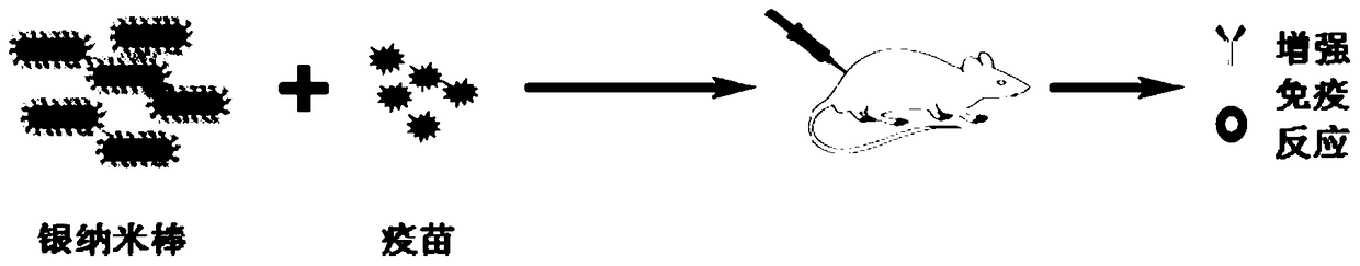 A kind of non-carrier adjuvant for vaccine, its preparation method and application