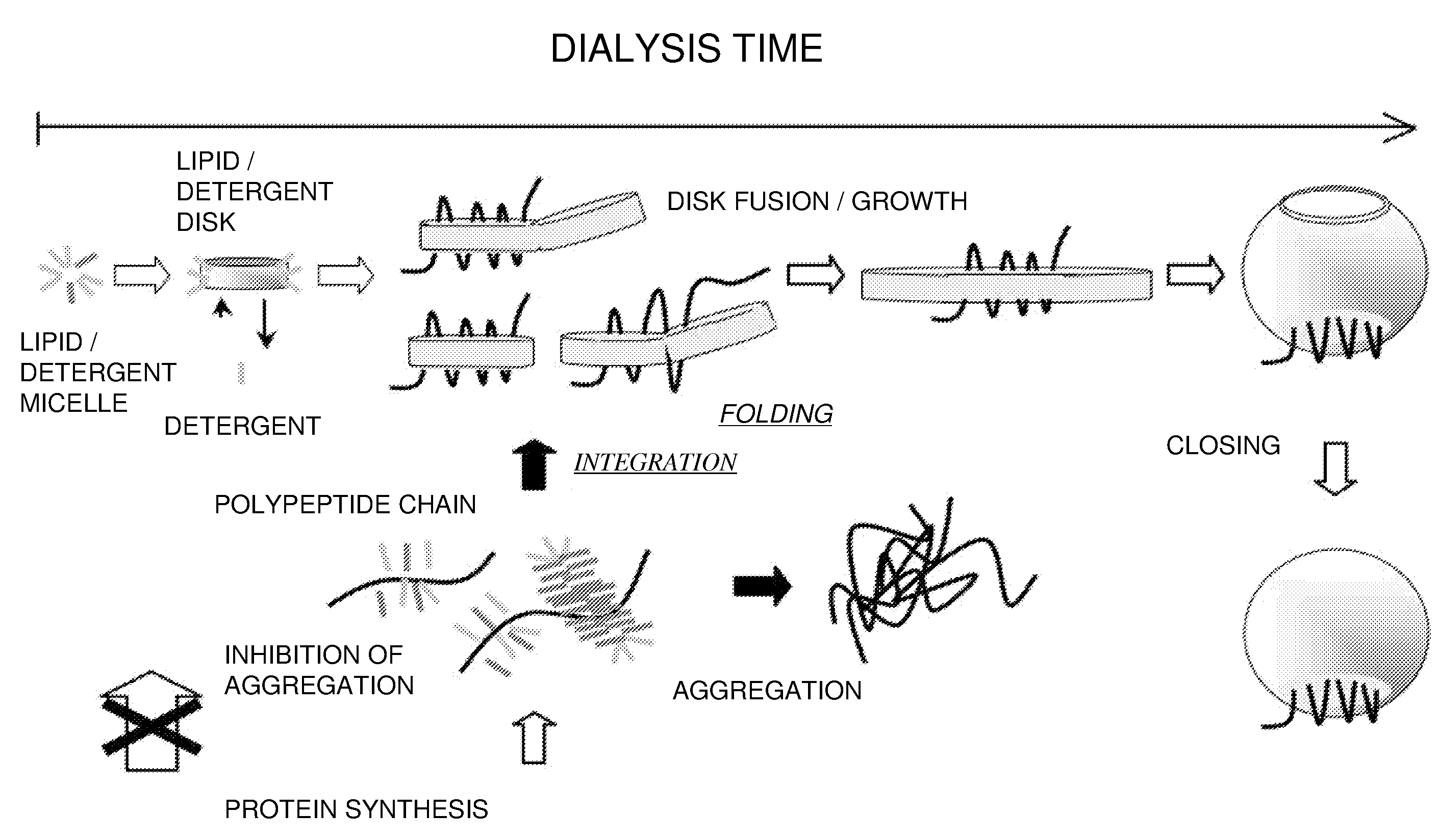 Method for producing a membrane protein