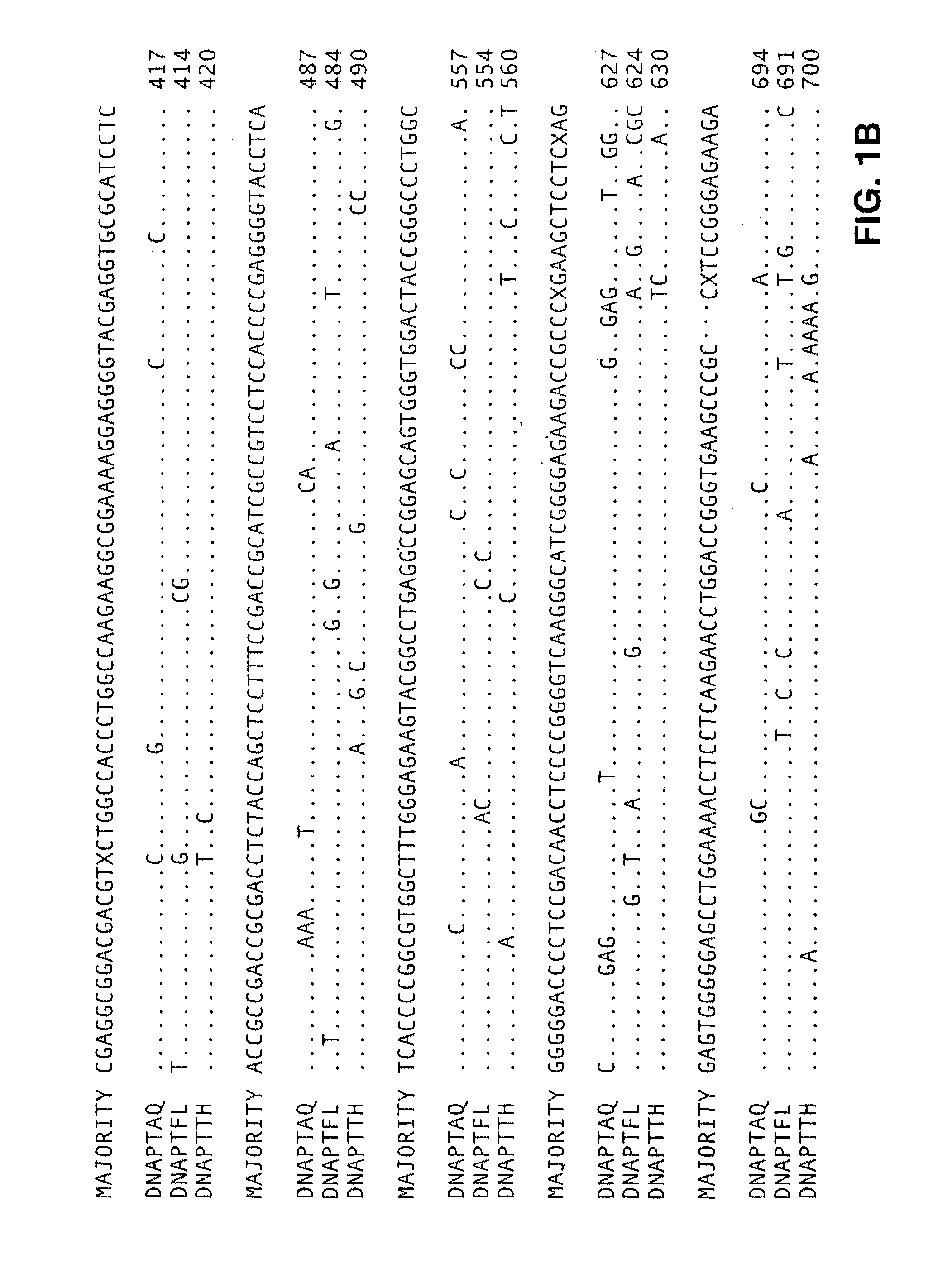 Detection of nucleic acids by multiple sequential invasive cleavages