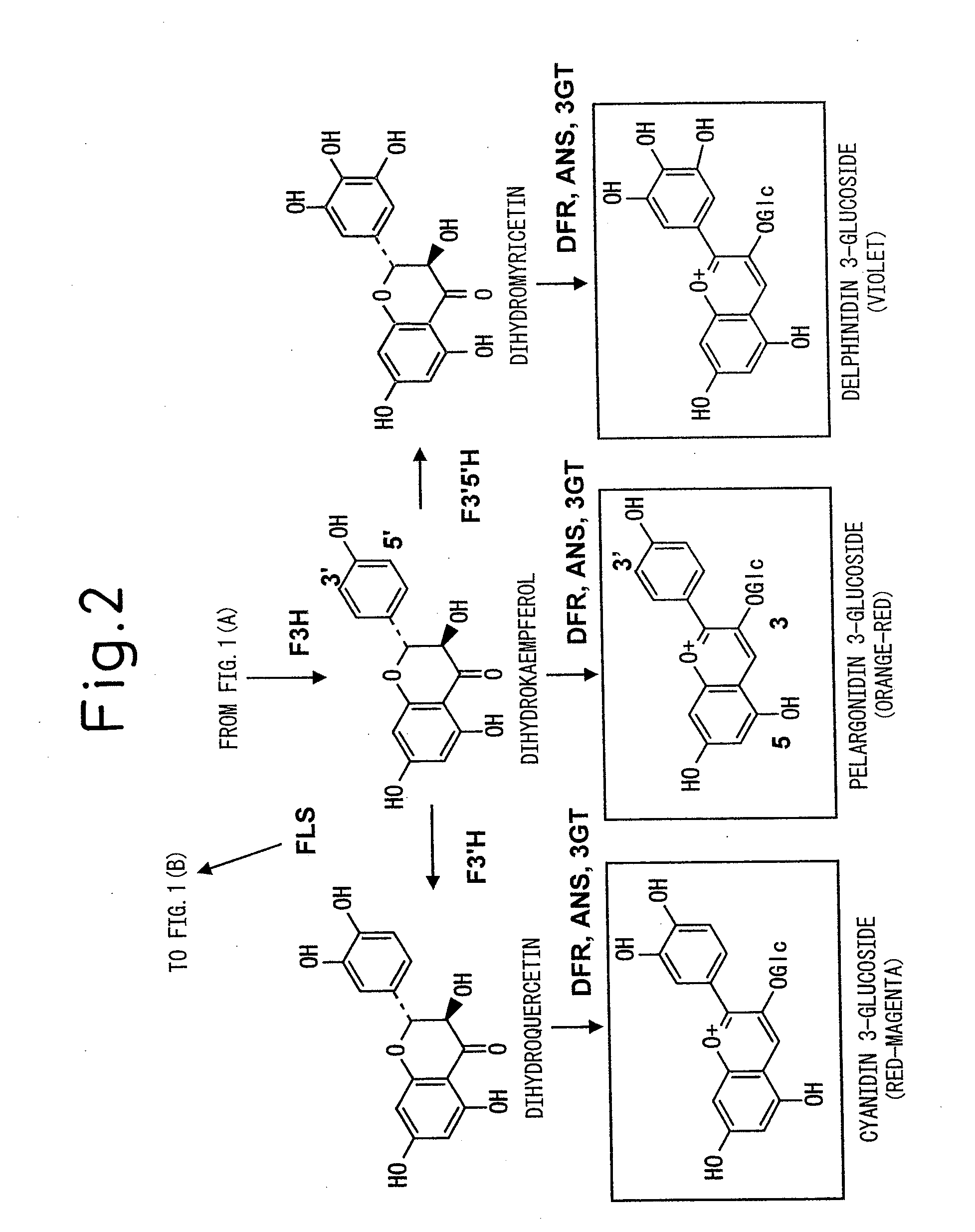 Method for producing yellow flower by controlling flavonoid synthetic pathway