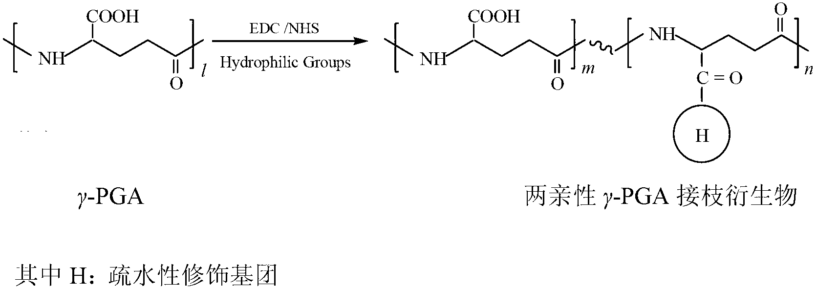 Preparation method of amphipathic gama-polyglutanmic acid nanodrug carrier