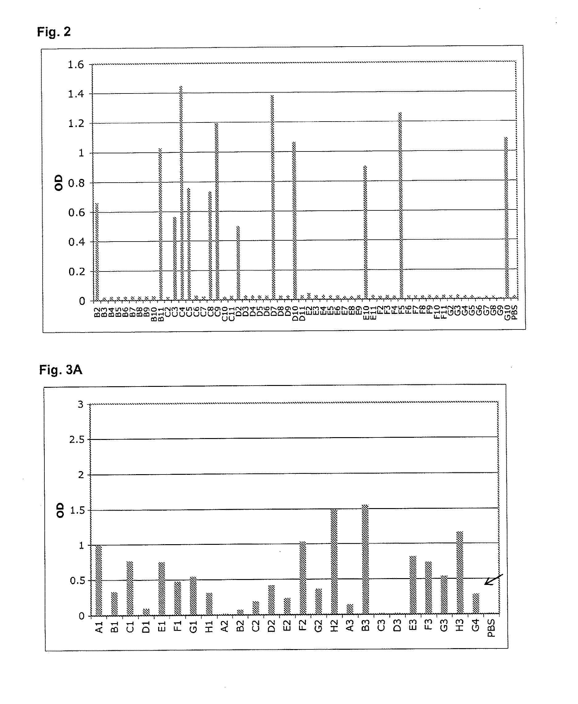 Specific and high affinity binding proteins comprising modified sh3 domains of fyn kinase