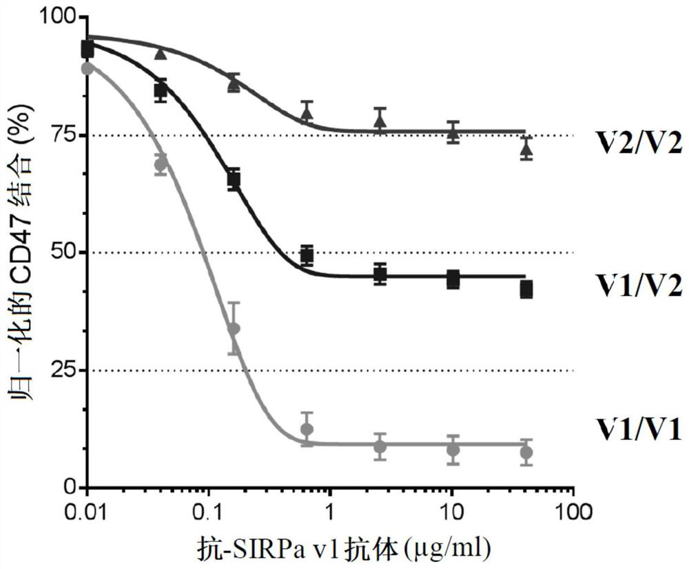 Use of Anti-human sirpa v1 antibodies and method for producing Anti-sirpa v1 antibodies