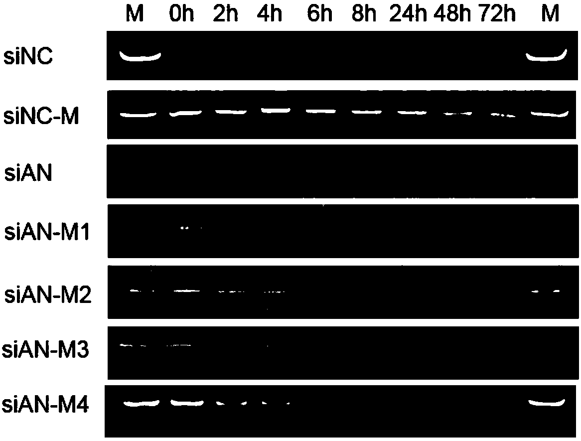 Small interfering ribonucleic acid, pharmaceutical composition and application thereof