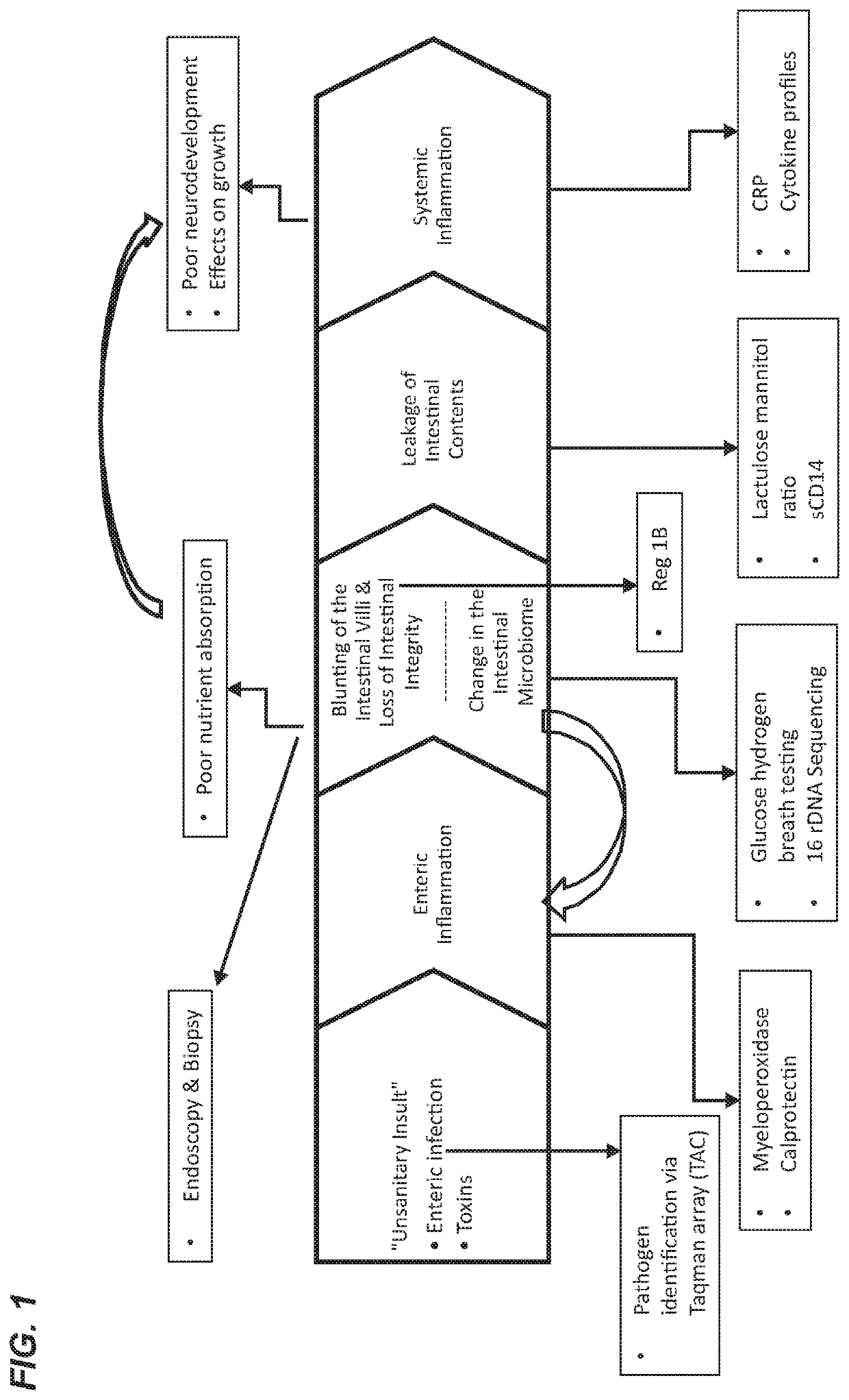 Compositions for management of disorders of the gastrointestinal tract