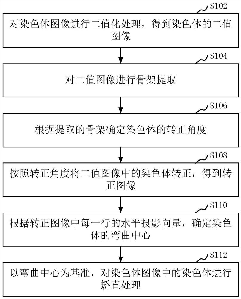 Chromosome straightening method and device, computer equipment and storage medium