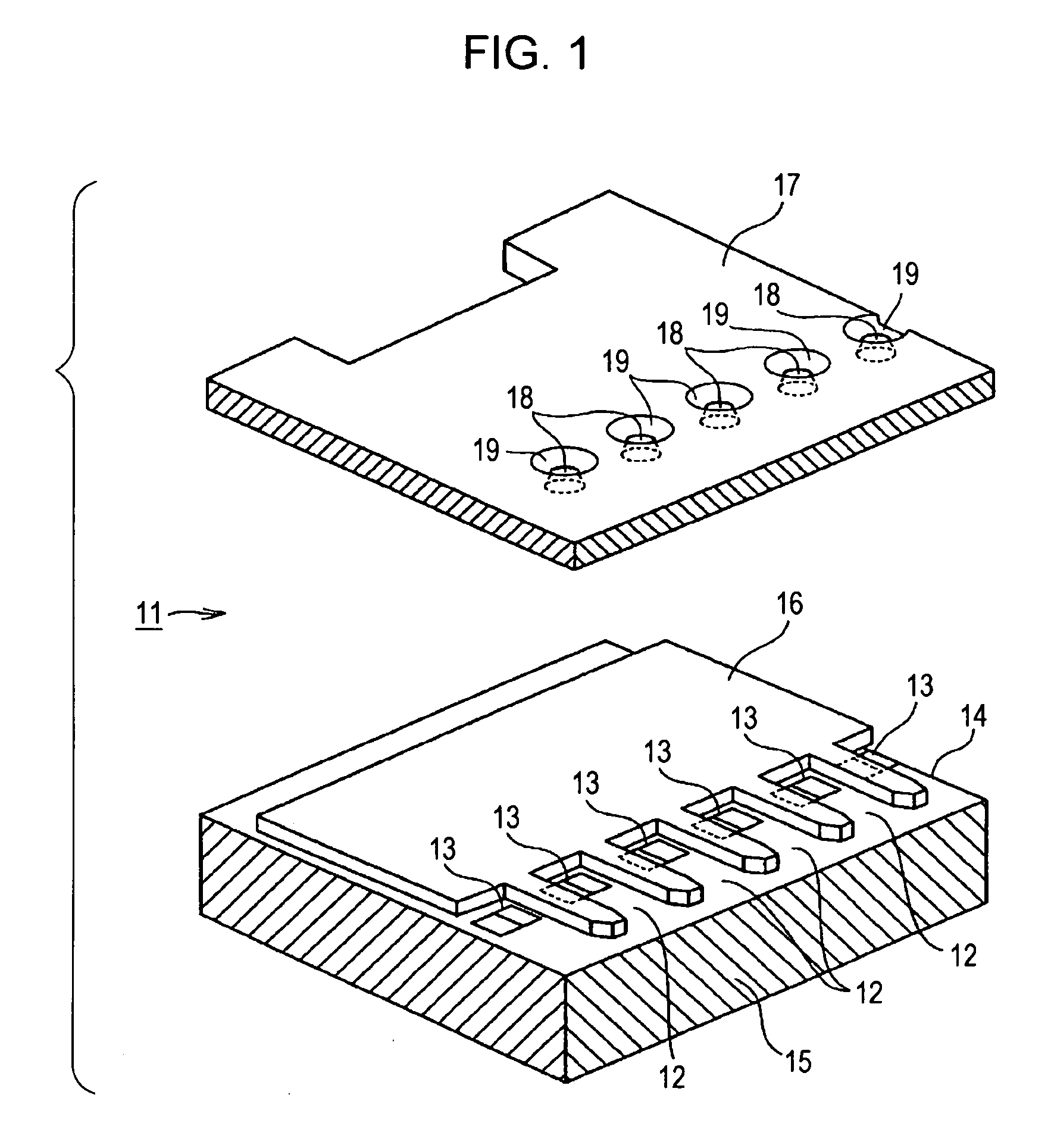 Liquid ejection head, liquid ejection apparatus, and method for fabricating liquid ejection head