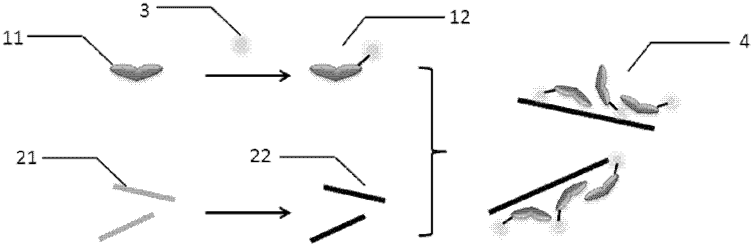 Nano graphene oxide protein complex, preparation method and applications thereof