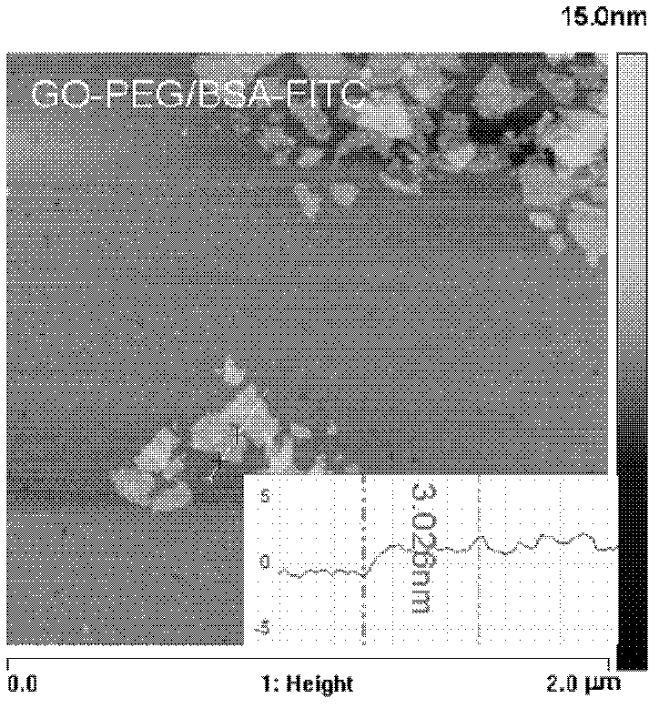 Nano graphene oxide protein complex, preparation method and applications thereof