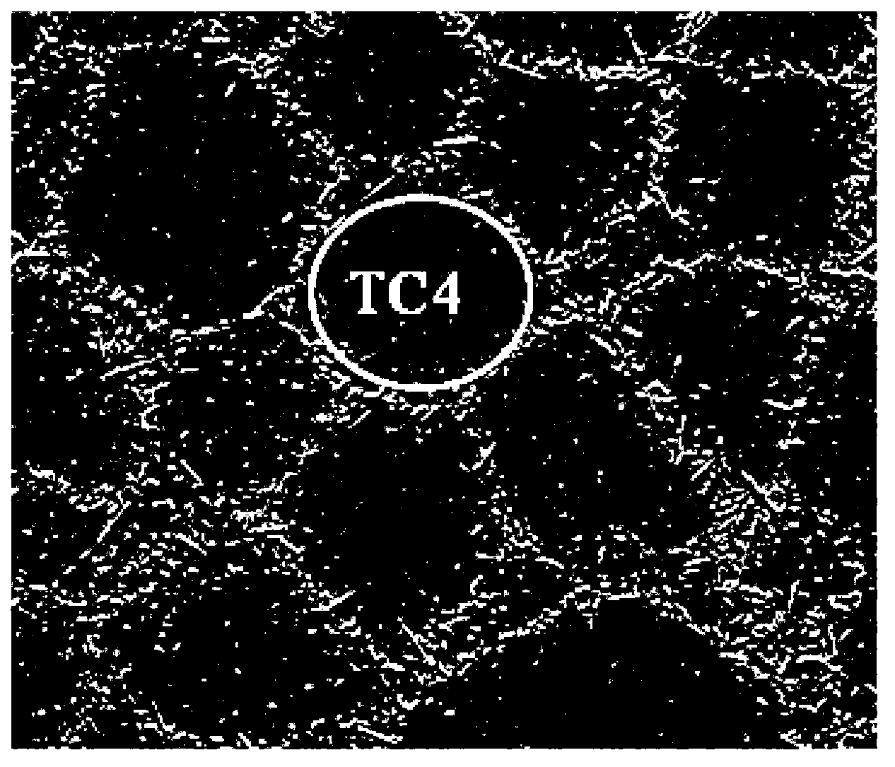 Composite soldering material, preparation method thereof and method of using composite soldering material to solder TiBw/TC4 titanium-based composite material