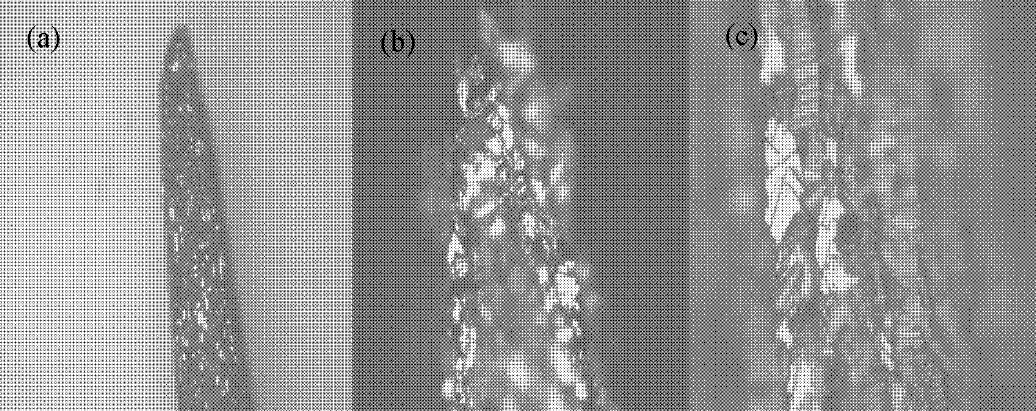 Method for preparing boron-doped diamond film electrode for detecting dopamine