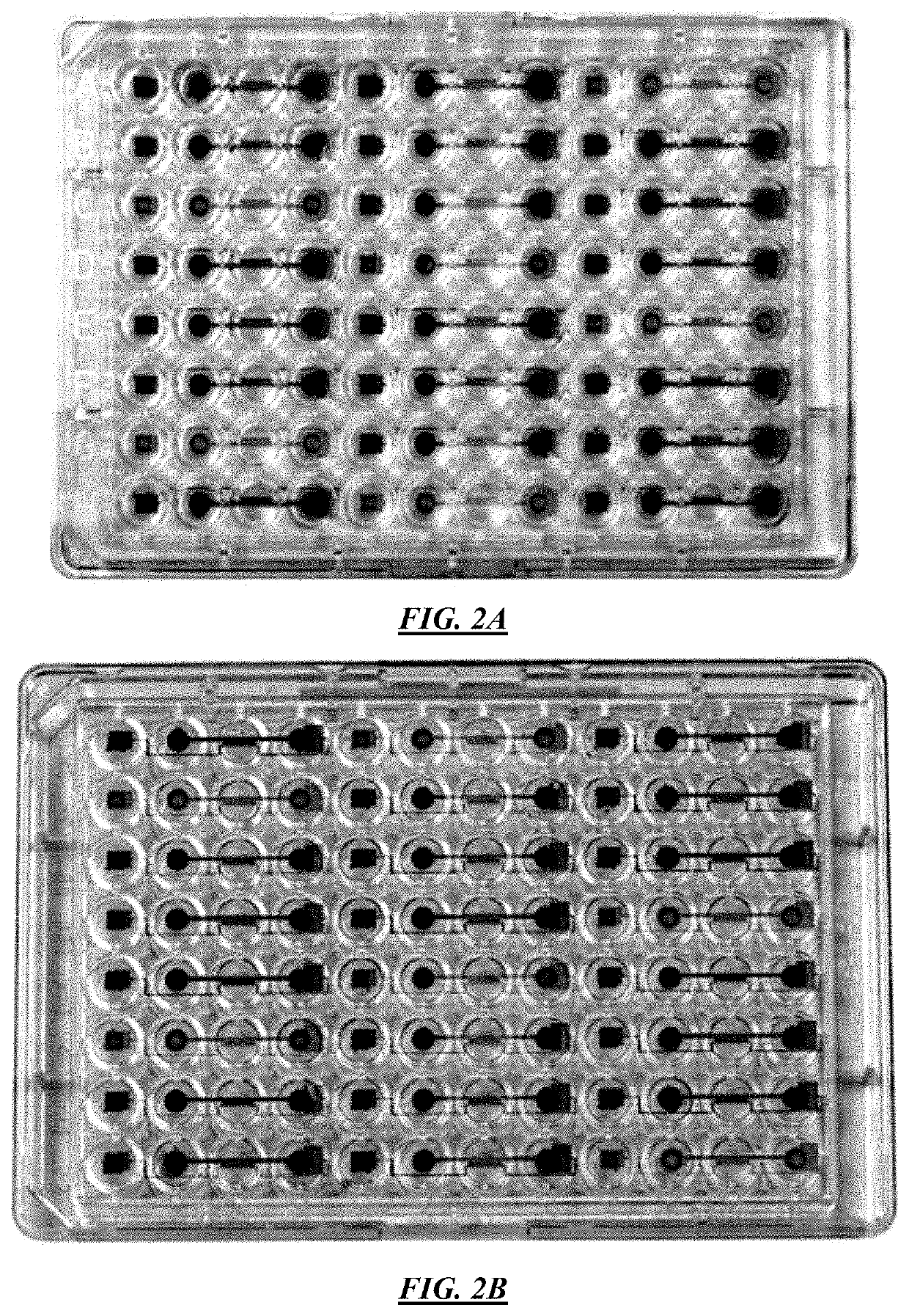 Cell Culture And Invasion Assay Method And System