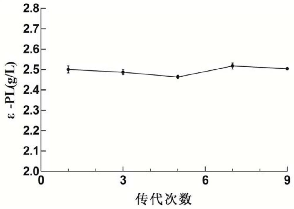 A mutant strain with acid resistance and high production of ε-polylysine and its application