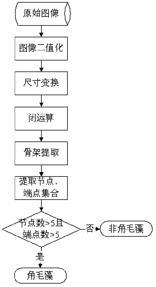 Automatic chaetoceros and non-chaetoceros sorting method based on microscopic images