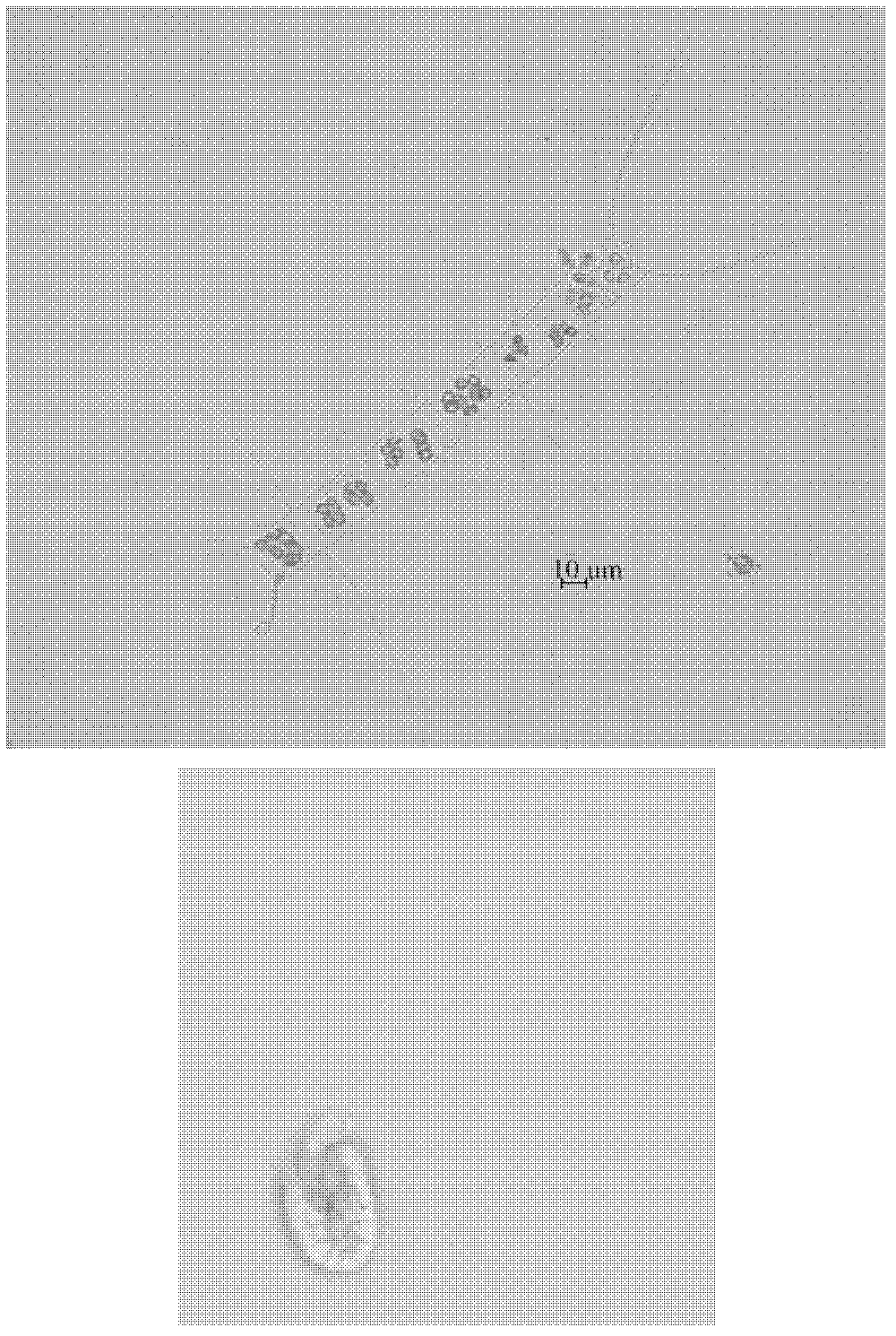 Automatic chaetoceros and non-chaetoceros sorting method based on microscopic images