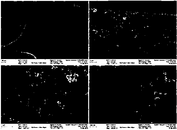 Solar photo-thermal conversion composite film and preparation method thereof