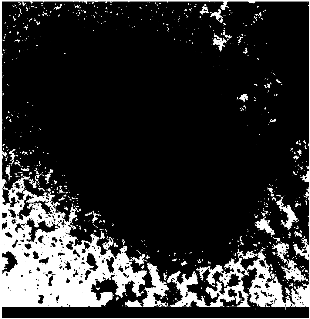 DSF quorum sensing signal degrading bacteria, and applications thereof in plant disease control