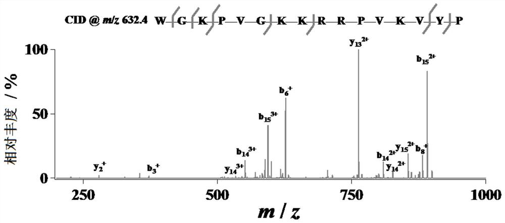 Method and device for protein sequence analysis