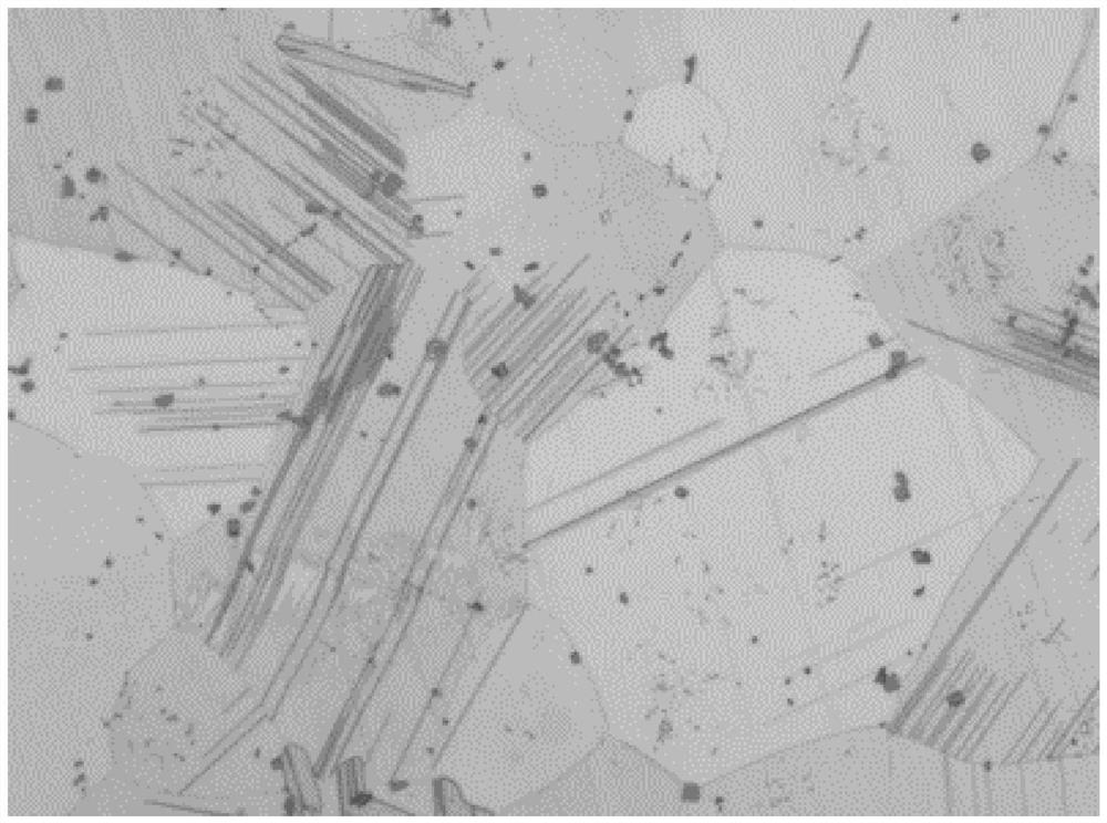 Heat treatment method for regulating and controlling microstructure of magnesium-gadolinium alloy