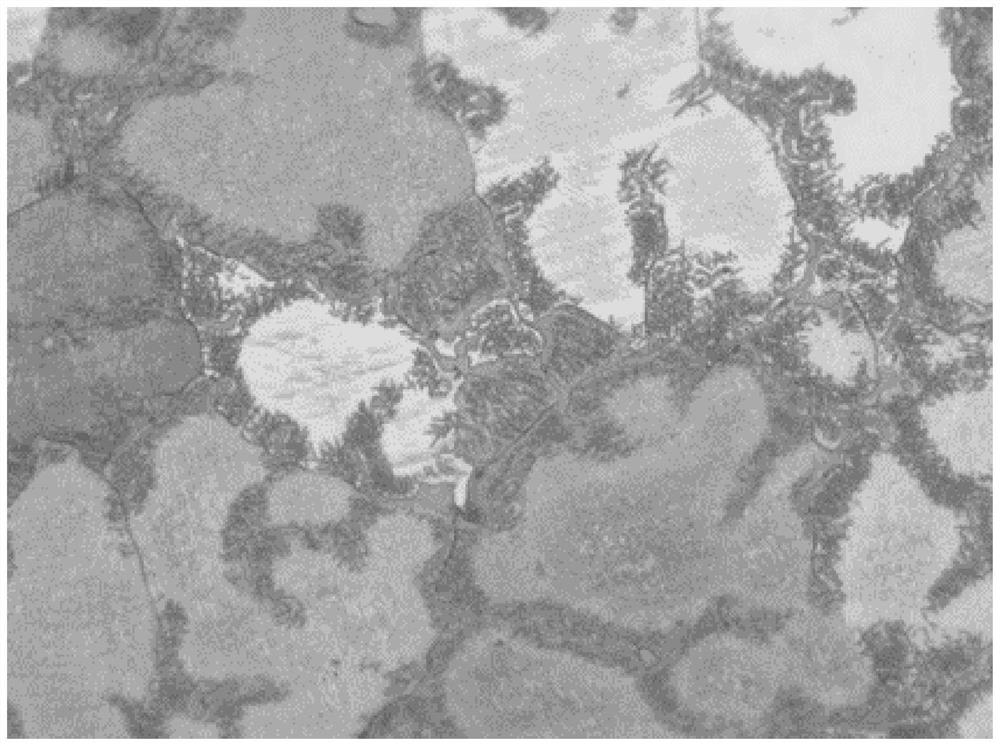 Heat treatment method for regulating and controlling microstructure of magnesium-gadolinium alloy