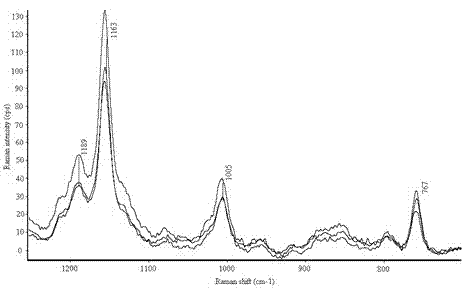 Device and method for fruit and vegetable pesticide residues based on laser Raman spectrometer