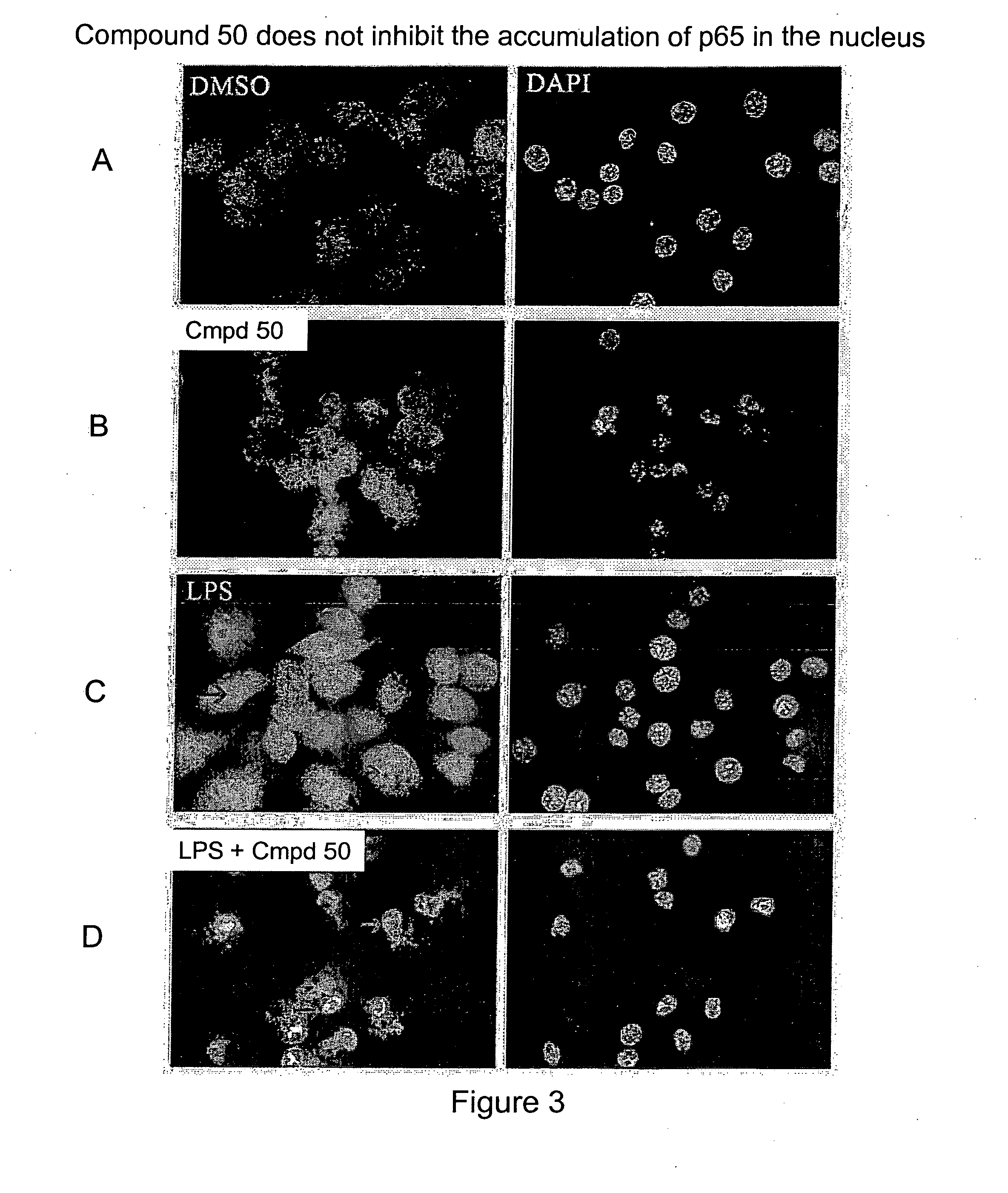 Method for treating B cell regulated autoimmune disorders