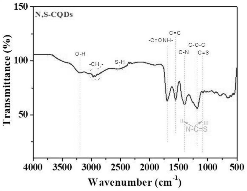 Water-soluble N, S co-doped carbon quantum dot material as well as preparation method and application thereof