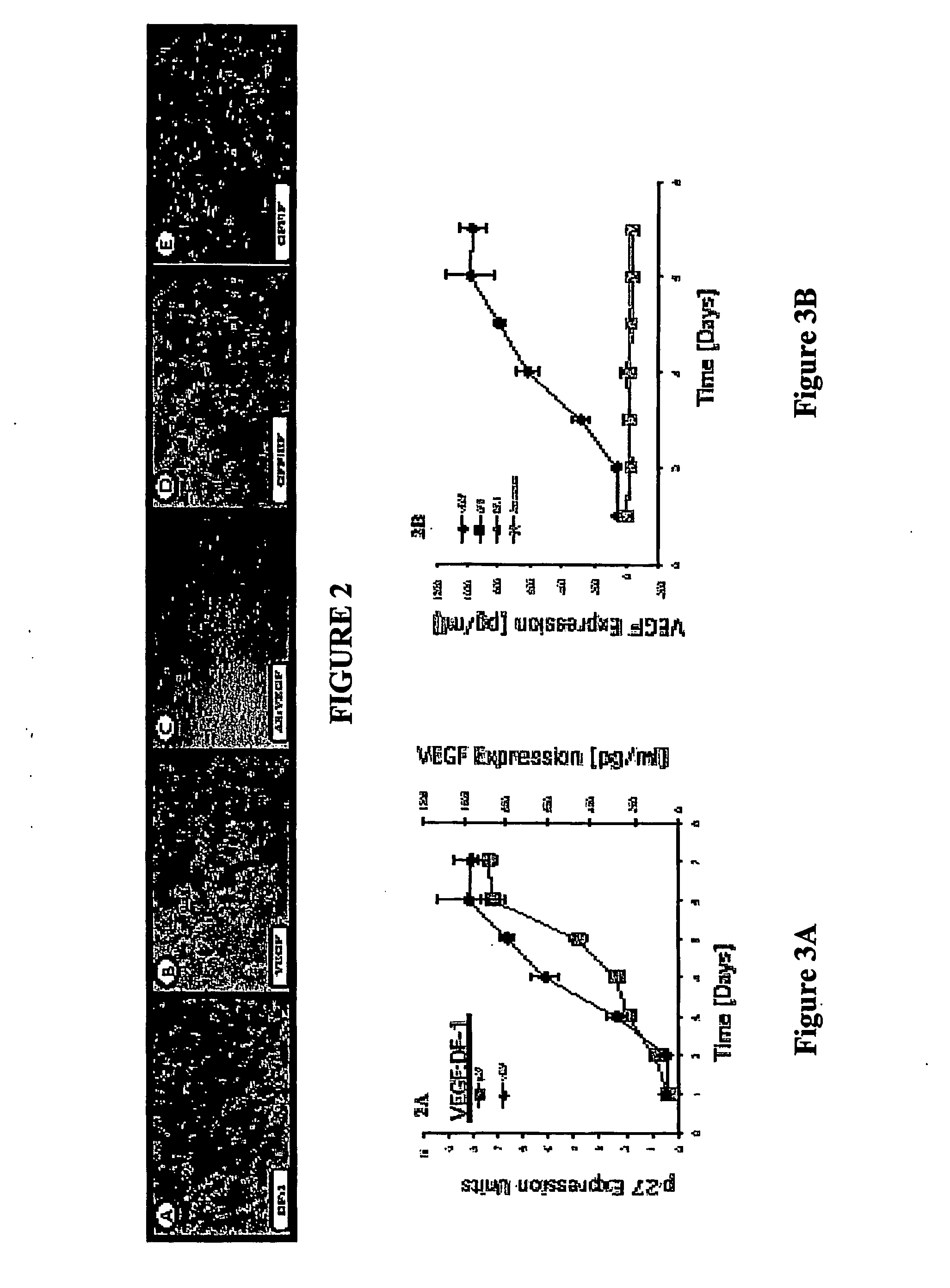 Article tissue systems and uses thereof