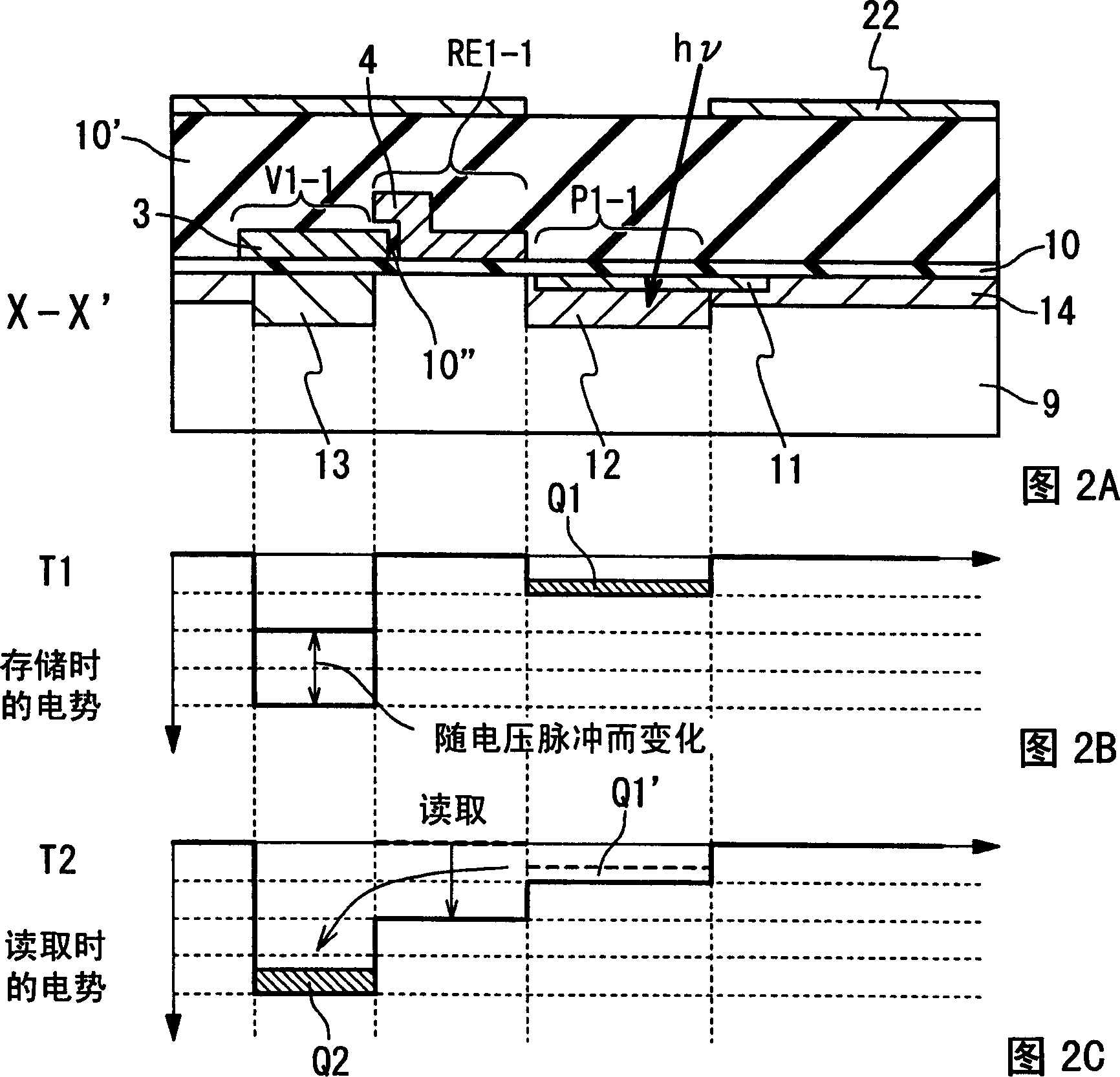 Colour image sensor and driving method thereof