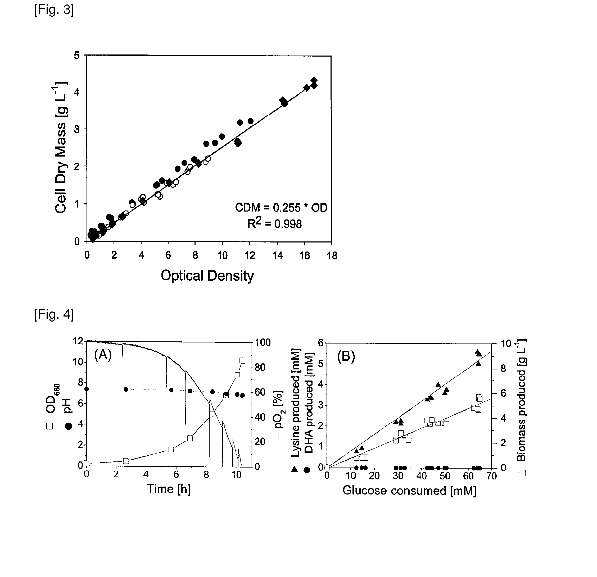 Production process for amino acids of the aspartate family using microorganisms