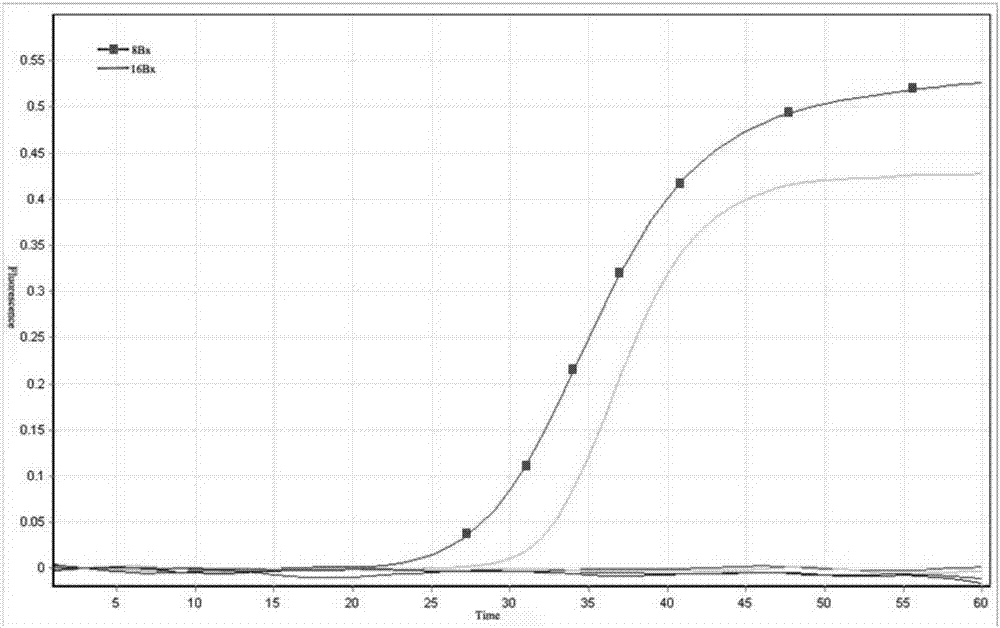 LAMP (Loop-mediated Isothermal Amplification) primer group, kit and detection method for detecting bursaphelenchus xylophilus nickle