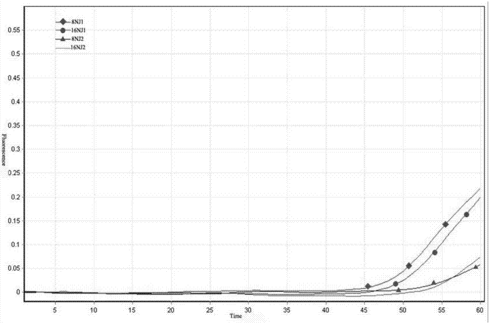 LAMP (Loop-mediated Isothermal Amplification) primer group, kit and detection method for detecting bursaphelenchus xylophilus nickle