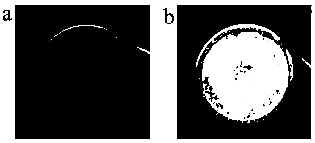 Preparation method of thin-layer metal lithium-based negative electrode