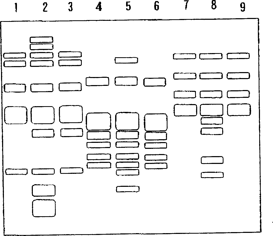 Food allergens, method of detecting food allergens and method of detecting food allergy-inducing foods