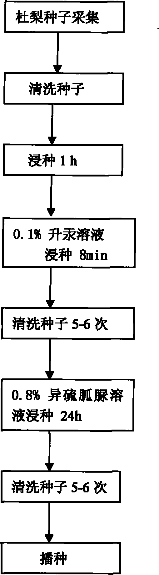 Sprouting method of rapidly removing pyrus betulaefolia seeds from dormancy by using 2-thiopseudourea