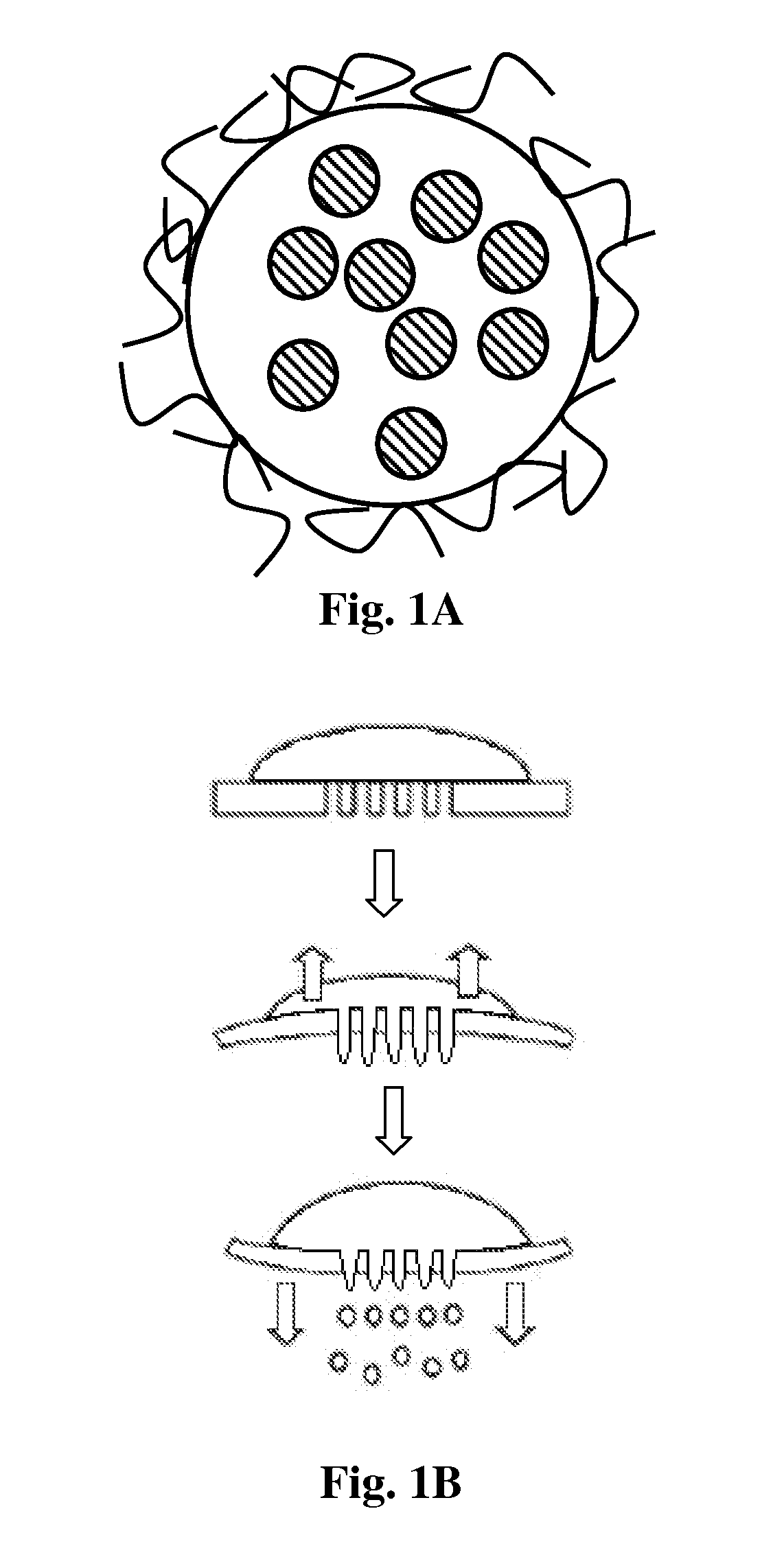 NANO delivery systems