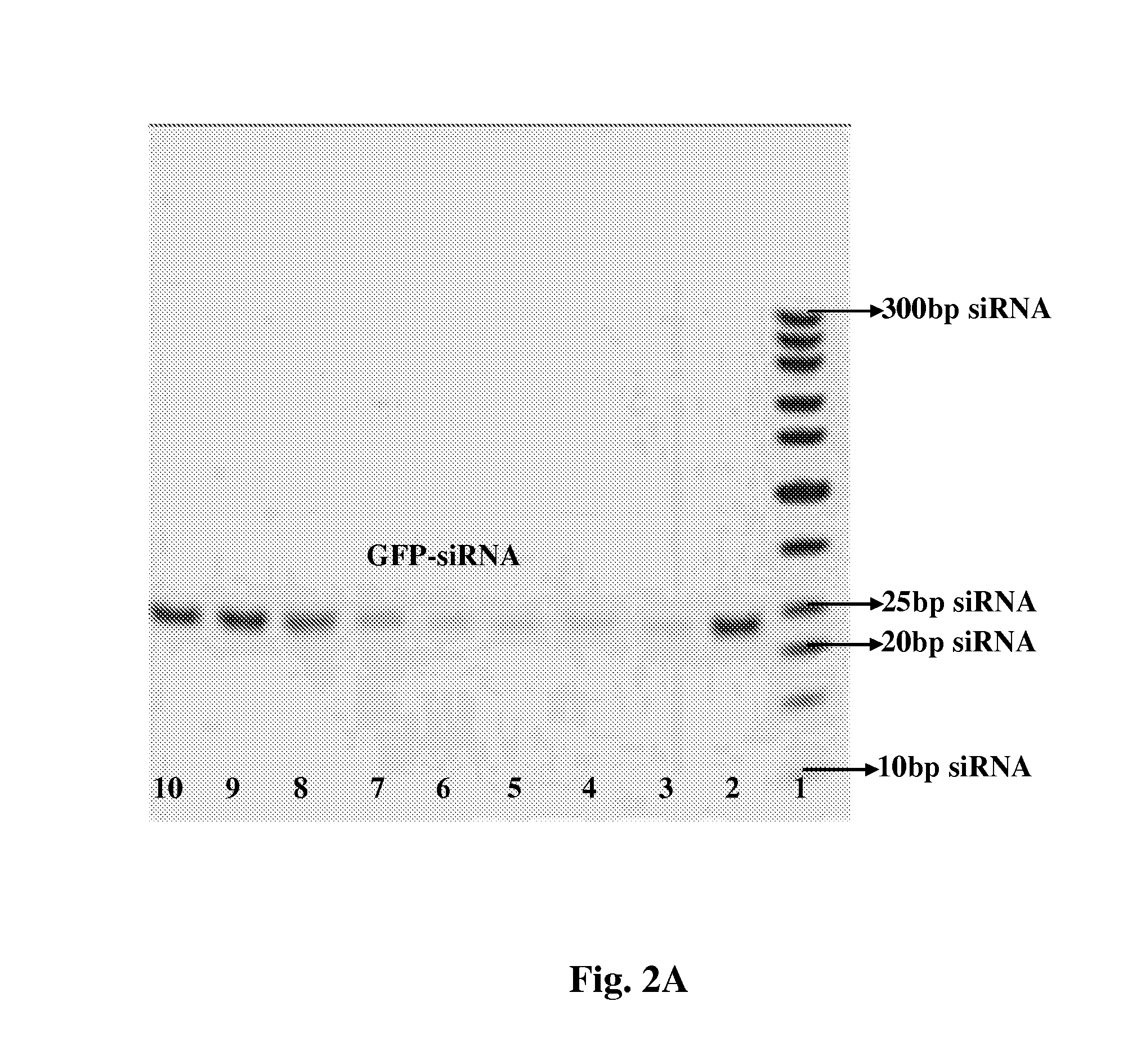 NANO delivery systems