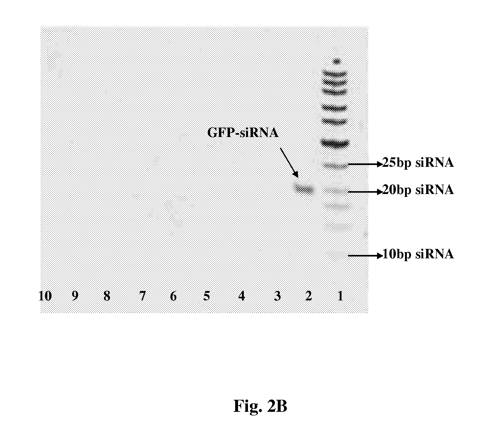 NANO delivery systems