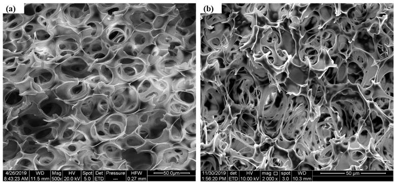 A kind of pcl/plga composite foaming oil-absorbing material and preparation method thereof