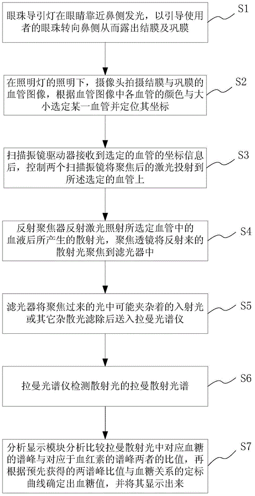 No-injury blood glucose detector based on blood raman scattering of blood vessels of eyes and detection method